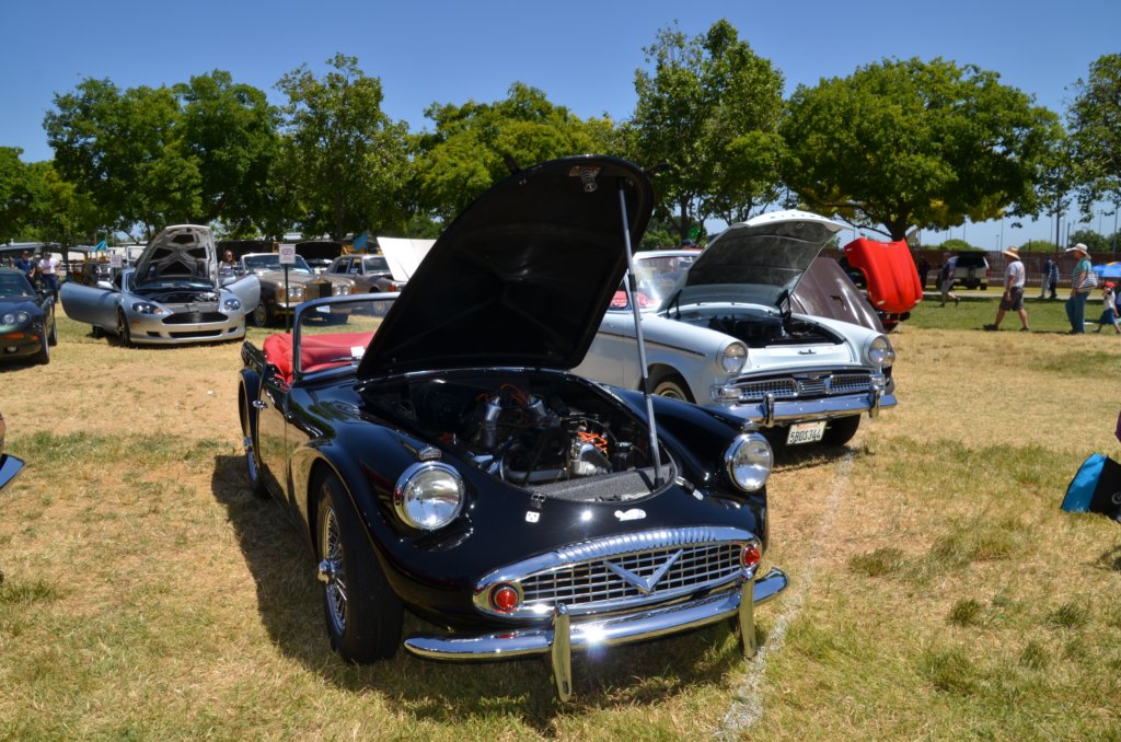 dsc_3256.jpg