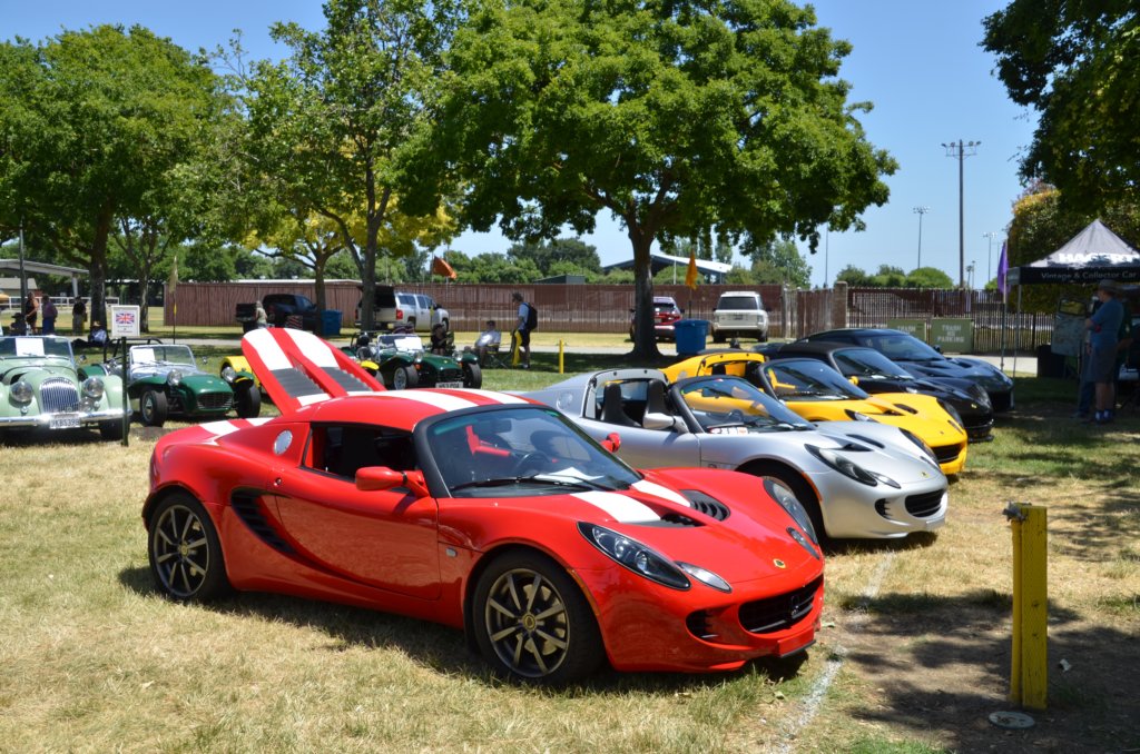 dsc_3264.jpg