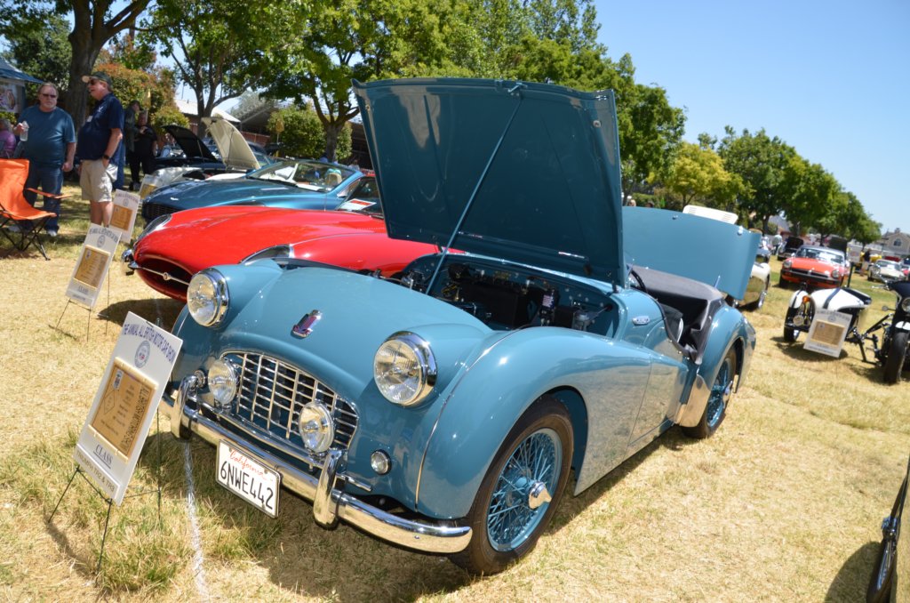 dsc_3268.jpg
