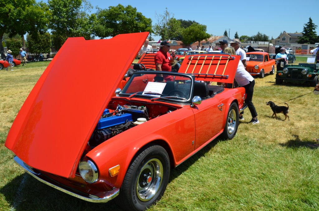 dsc_3283.jpg