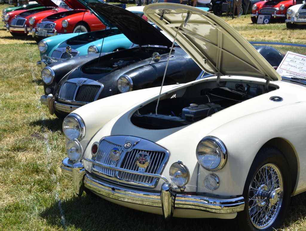 dsc_9539v2.jpg