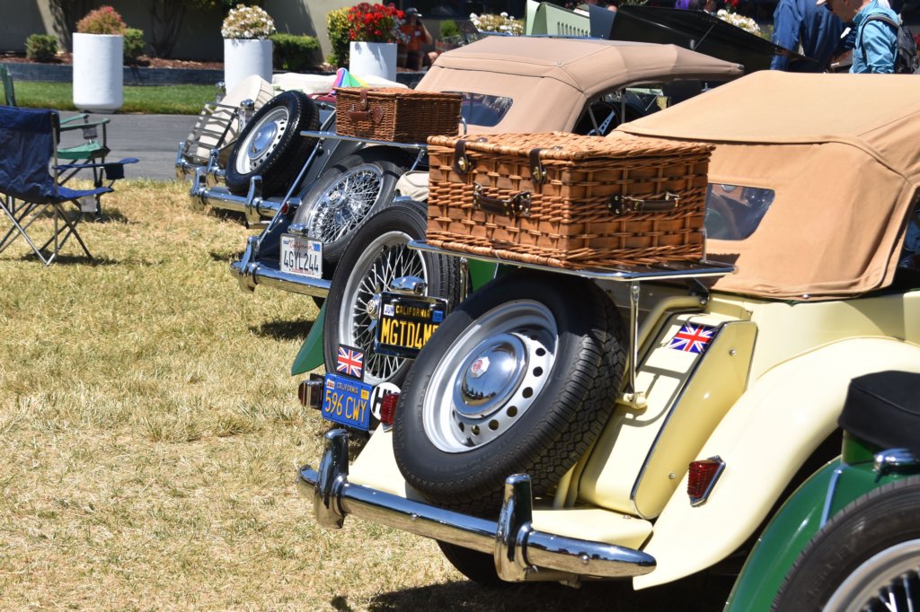 dsc_9542v2.jpg