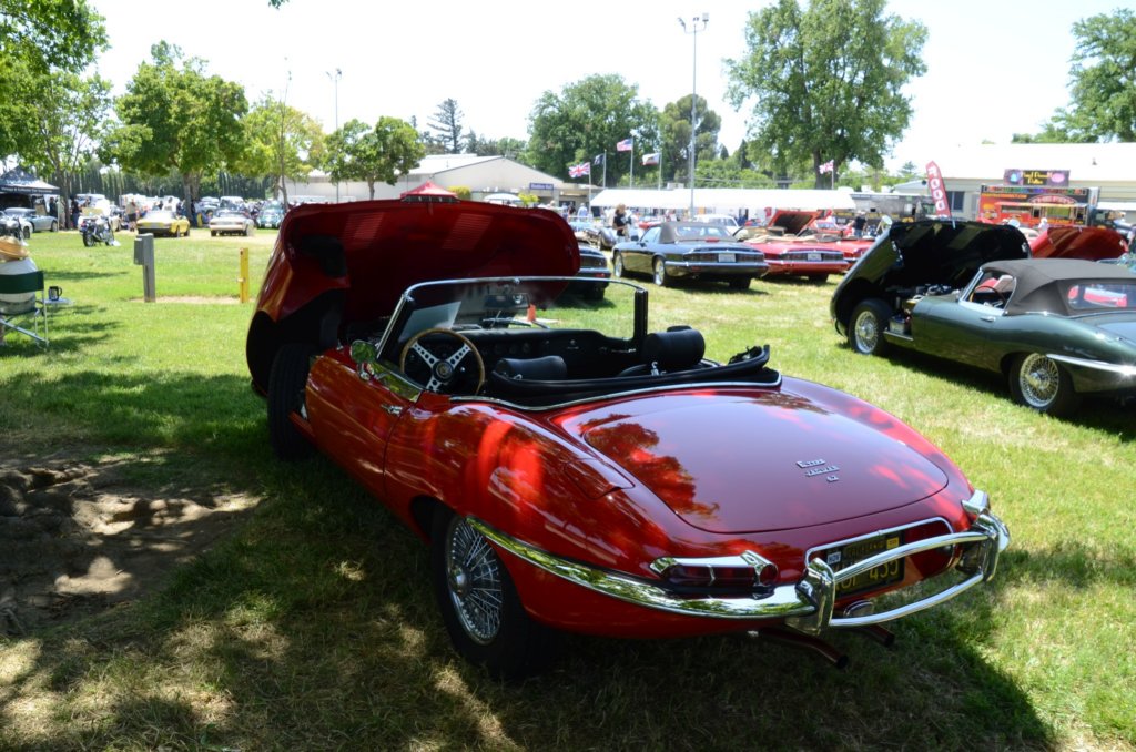 r_franklin034.jpg