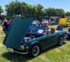 steve_pimental016_small.jpg