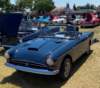steve_pimental018_small.jpg